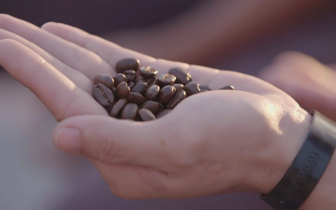 RECOFTC – Indonesia Teaser